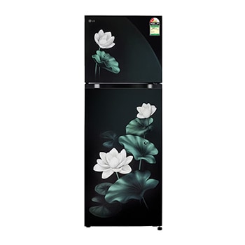 Front view of LG 251L Double Door Refrigerator, Convertible, Auto Smart Connect, Smart Inverter Compressor, Multi Air Flow, Emerald Lotus, 2 Star GLT2526XWEL