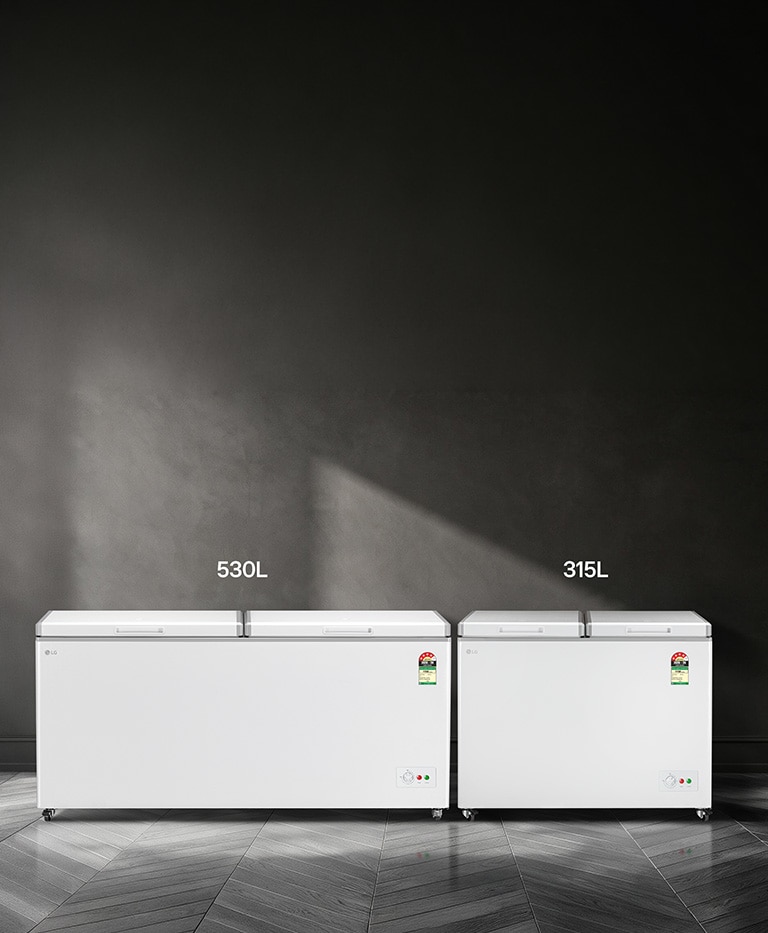 LG Chest Freezer PLUS Series