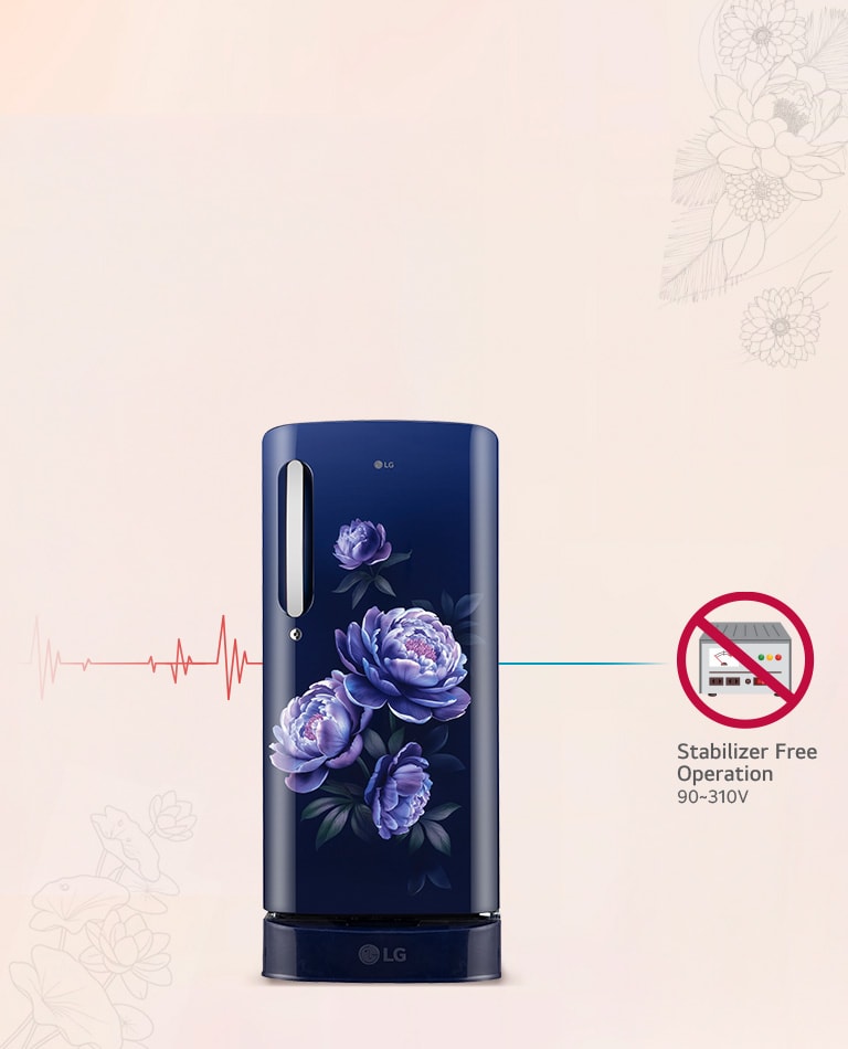 185 L Single Door Refrigerator- GLD1936ZARG | LG IN