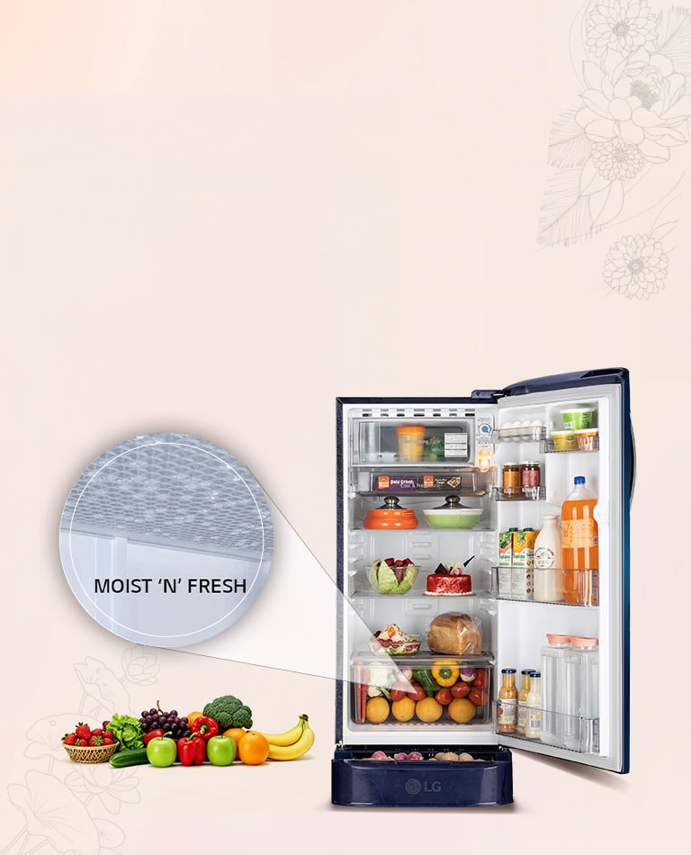 Moist ‘N’ Fresh​