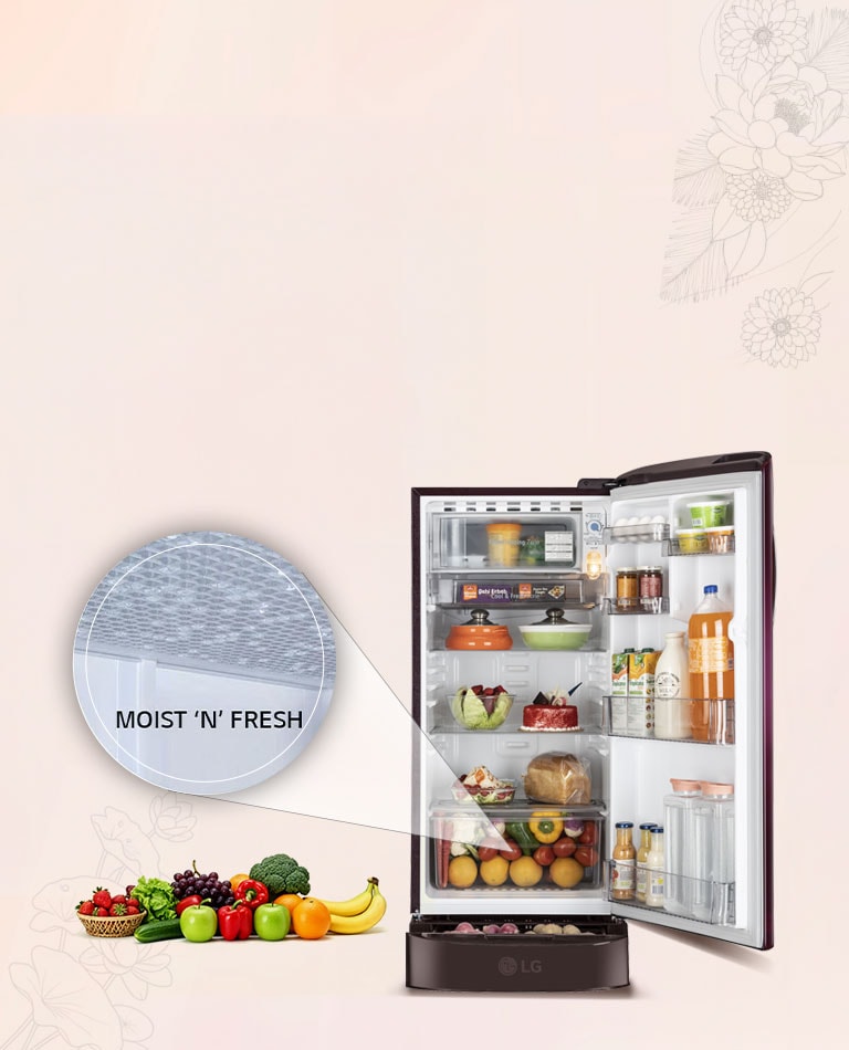 Moist ‘N’ Fresh