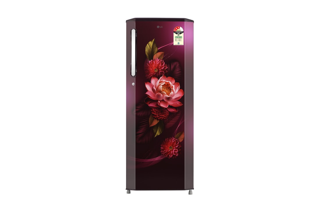 261L Single Door Refrigerator, Red - GLD2736YBRW | LG India