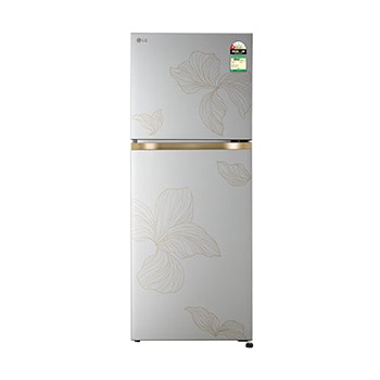 Front view of LG 225L Double Door Refrigerator, Smart Mode, Fresh Zone , Radiant Inox, 1 Star GLT2216WYRI
