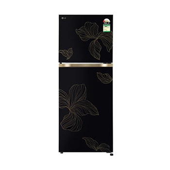 Front view of LG 225L Double Door Refrigerator, Smart Mode, Fresh Zone, Radiant Onyx, 1 Star GLT2216WYRO