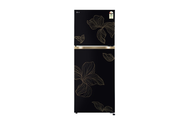 Front view of LG 225L Double Door Refrigerator with Smart Mode, Auto Smart Connect, Smart Inverter Compressor, Multi Air Flow, Radiant Onyx, 1 Star GLT2216WYRO