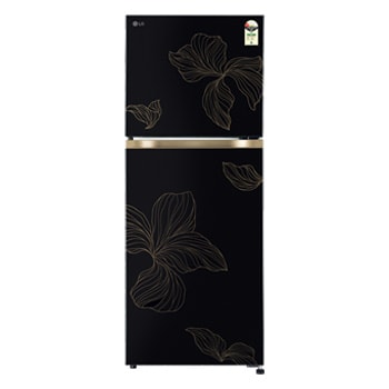 Front view of LG 225L Double Door Refrigerator with Smart Mode, Auto Smart Connect, Smart Inverter Compressor, Multi Air Flow, Radiant Onyx, 1 Star GLT2216WYRO