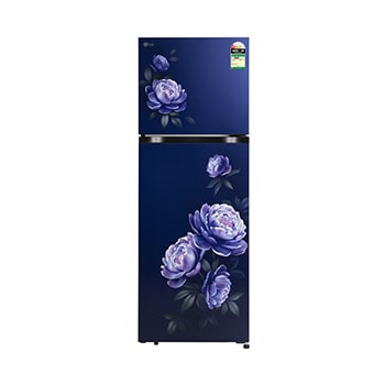 Front view of LG 251L Double Door Refrigerator, Smart Mode, Multi Air Flow, Royal Glory, 1 Star GLT2516WWRG