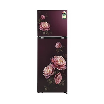 Front view of LG 251L Double Door Refrigerator with Smart Mode, Turbo Fresh Zone, Wine Glory, 1 Star GLT2516WWWG