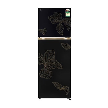 Front view of LG 251L Double Door Refrigerator with Smart Mode, Smart Inverter Compressor, Radiant Onyx, 1 Star GLT2516WXRO