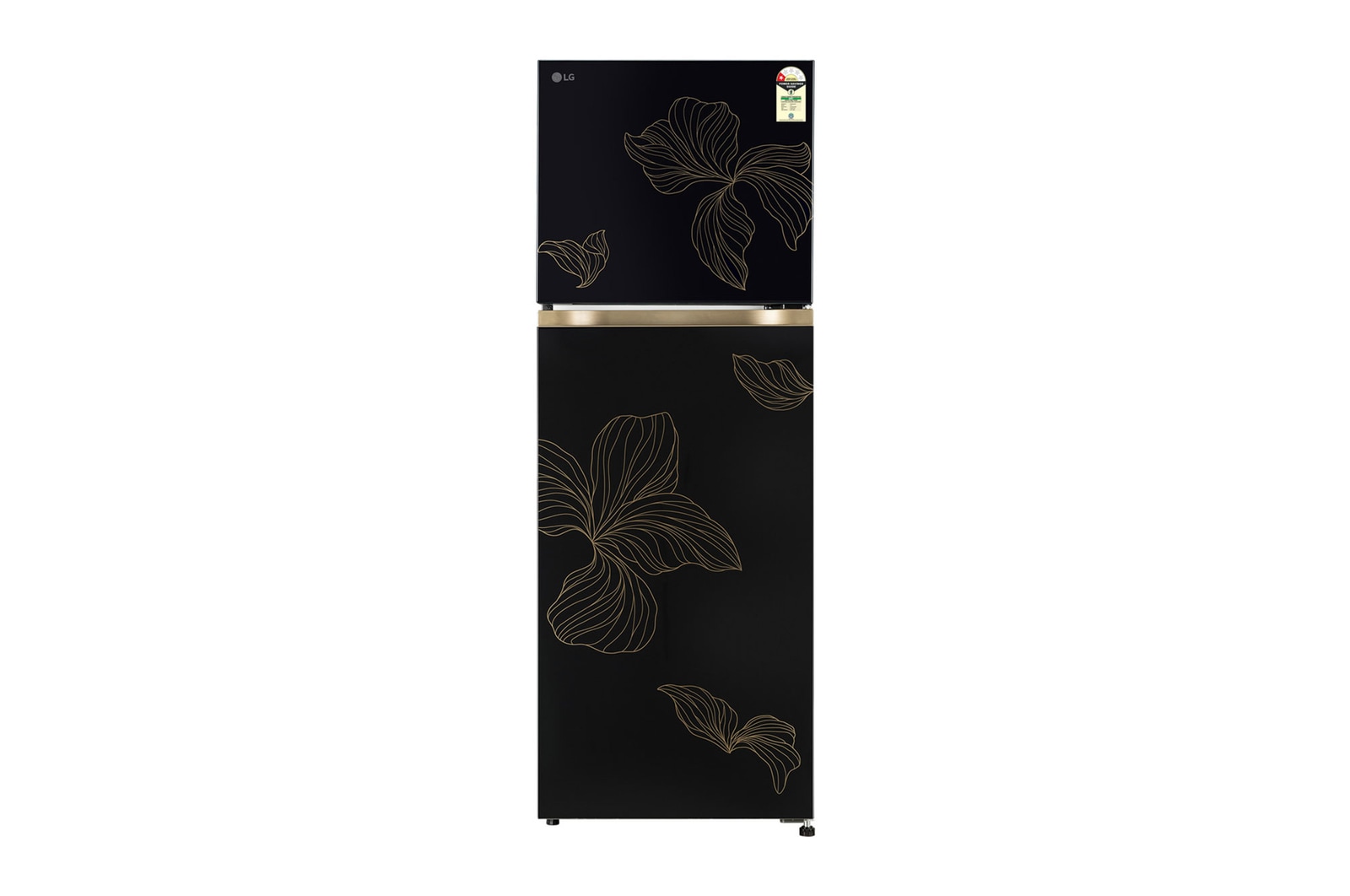 Front view of LG 251L Double Door Refrigerator with Smart Mode, Auto Smart Connect, Smart Inverter Compressor, Multi Air Flow, Radiant Onyx, 1 Star GLT2516WXRO