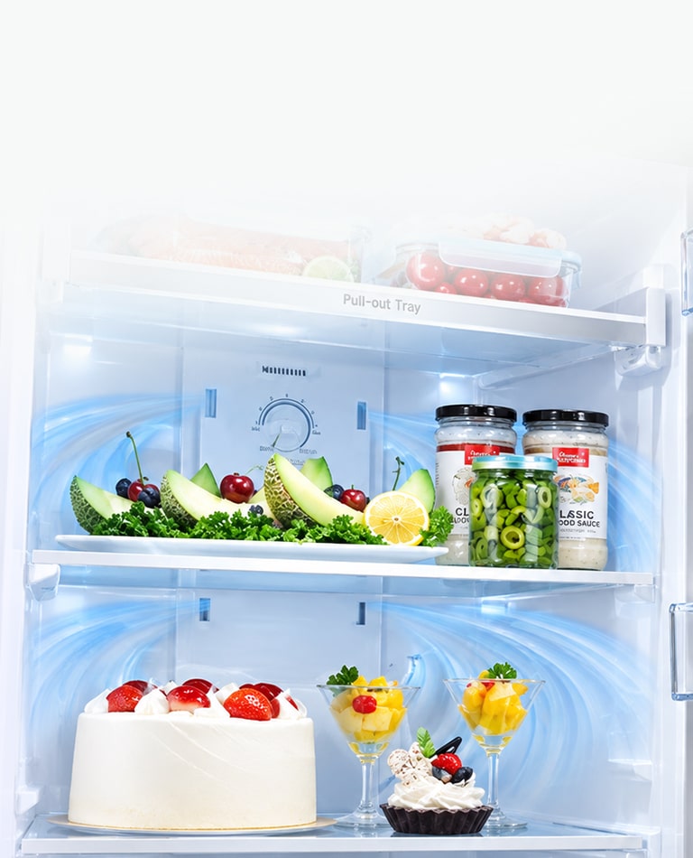 LG Multi Air Flow