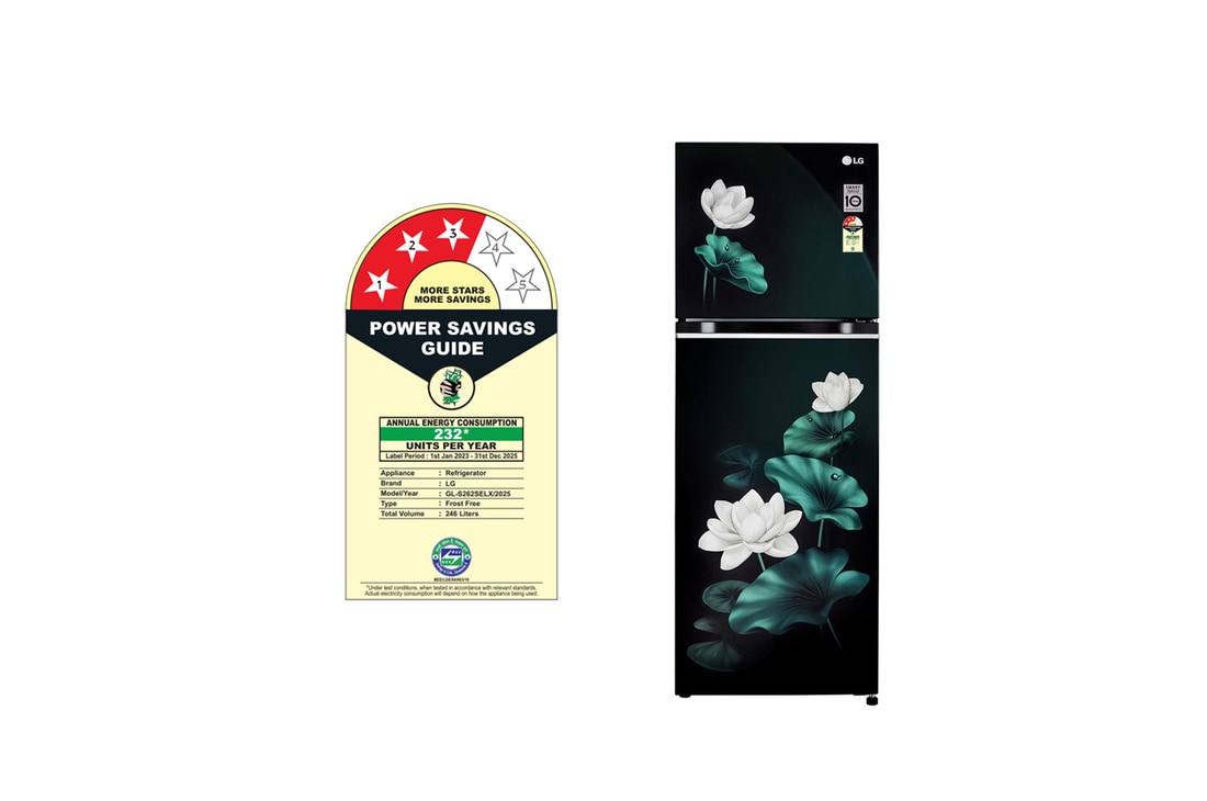Buy 246L Double Door Refrigerator - GL-S262SELX | LG India
