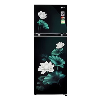Front view of LG 246L Double Door Refrigerator, Convertible, Smart Diagnosis™, Emerald Lotus, 3 Star GL-S262SELX
