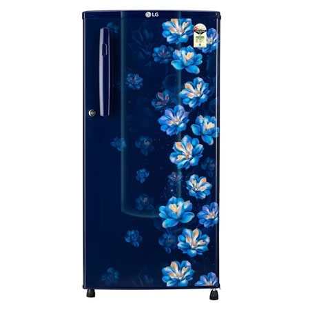 Buy 180L Single Door Fridge – GL-B181OBJB | LG IN
