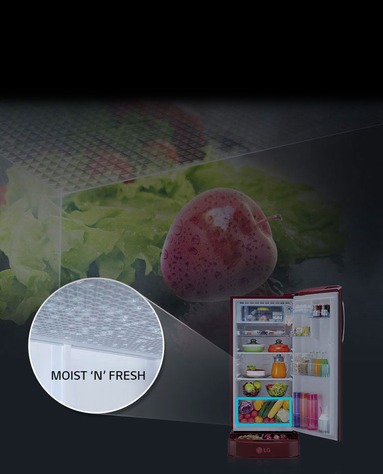 LG gl-d201aeld 190 ltr moist fresh