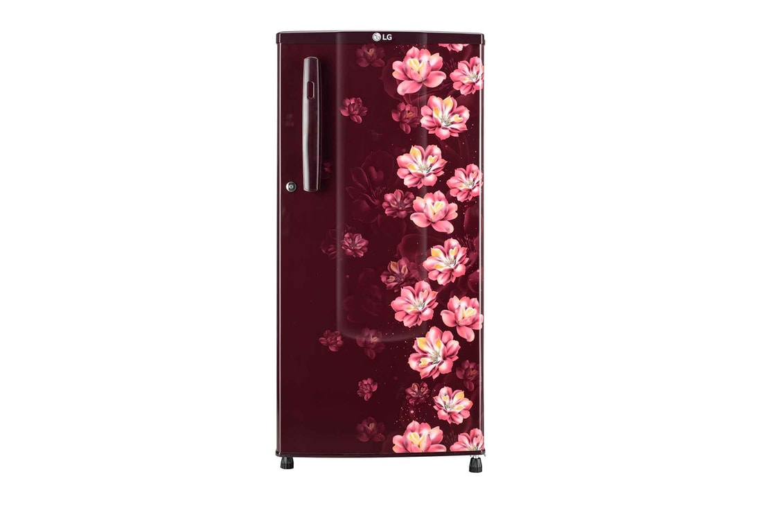 LG gl-b181osjb single door refrigerator front view