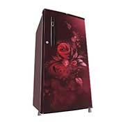 LG 185L Single Door Refrigerator, Anti-Bacterial Gasket, Scarlet Euphoria, 3 Star, GL-B199OSED