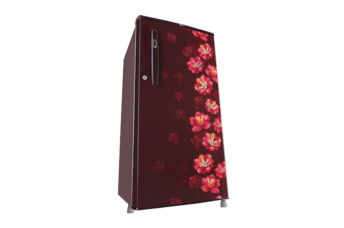 LG 185L, 1 Star, Scarlet Jasmine Finish, Direct Cool Single Door Refrigerator, GL-B199OSJB