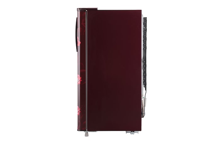 LG 185L, 1 Star, Scarlet Jasmine Finish, Direct Cool Single Door Refrigerator, GL-B199OSJB