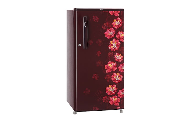 LG 185L, 1 Star, Scarlet Jasmine Finish, Direct Cool Single Door Refrigerator, GL-B199OSJB