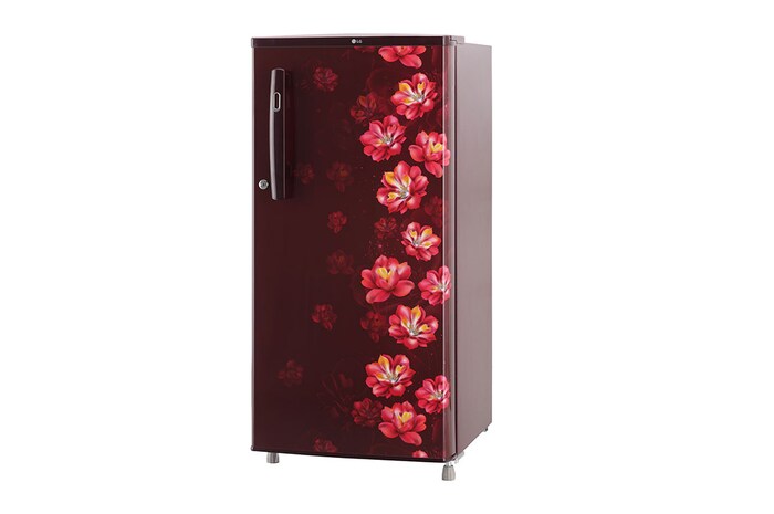 LG 185L, 1 Star, Scarlet Jasmine Finish, Direct Cool Single Door Refrigerator, GL-B199OSJB