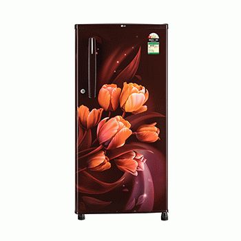 Front view of LG 185 L Single Door Refrigerator, Anti-Bacterial Gasket , Toughened Glass Shelves, Scarlet Tulip, 1 Star GL-B199OSTB