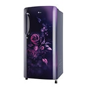 LG 185L, 3 Star, Blue Euphoria Finish, Direct Cool Single Door Refrigerator, GL-B201ABED