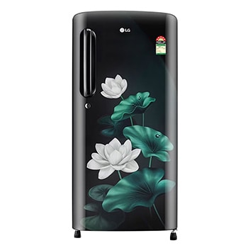 Front view of LG 185L Single Door Refrigerator, MOIST ‘N' FRESH, Toughened Glass Shelves, Blue Euphoria, 5 Star GL-B201AELU