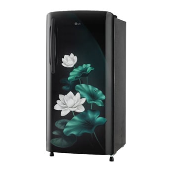 LG 185L, 3 Star, Blue Klase Finish, Direct Cool Single Door Refrigerator, GL-B199OBKD, Door Open