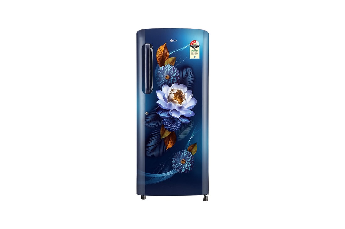 Buy 224L Single Door Refrigerator - GL-B241ABWD | LG India