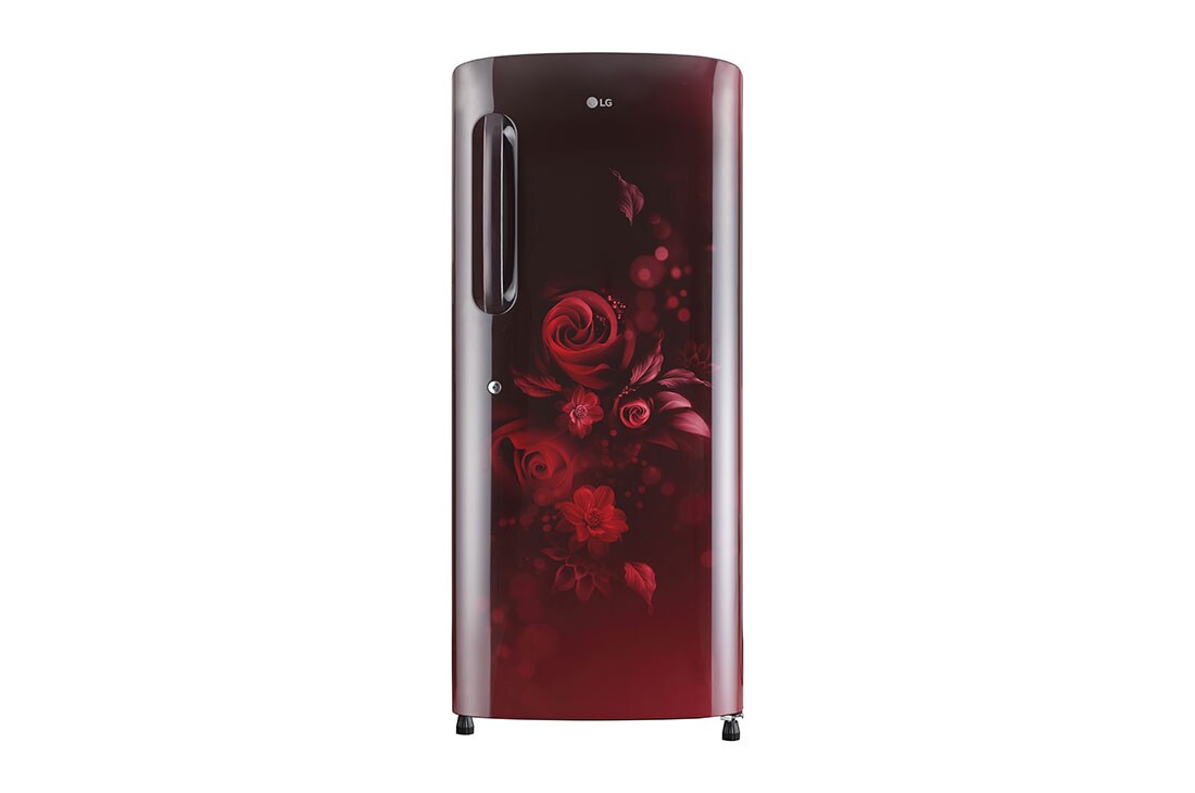 LG GL-B241ASEZ single door refrigerator front view