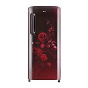 LG GL-B241ASEZ single door refrigerator front view