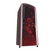 LG 235L, Smart Inverter Compressor, MOIST ‘N’ FRESH, Direct Cool Refrigerator, GL-B241ASEZ