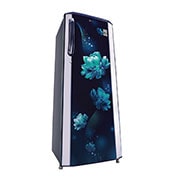 LG 261L, 3 Star, Smart Inverter Compressor, Smart Connect, Blue Charm Finish, Direct Cool Single Door Refrigerator, GL-B281BBCX