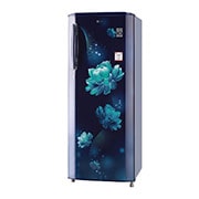 LG 261L, 3 Star, Smart Inverter Compressor, Smart Connect, Blue Charm Finish, Direct Cool Single Door Refrigerator, GL-B281BBCX