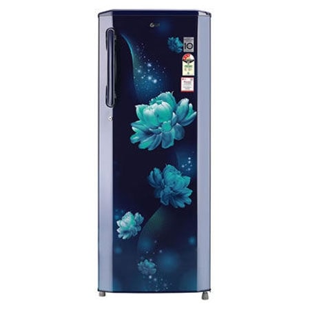 Buy LG 261L 1 Door Refrigerator Online - GL-B281BBCX | LG IN