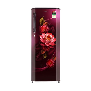 Front view of LG 261L Single Door Refrigerator, Smart Inverter Compressor, Smart Connect, Red Waterlily, 3 Star GL-B281BRWX