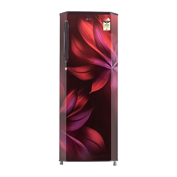 Front view of LG 261L Single Door Refrigerator, Smart Inverter Compressor, Smart Connect, Scarlet Aurora Finish, 3 Star GL-B281BSAX