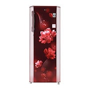 LG GL-B281BSCX single door refrigerator front view