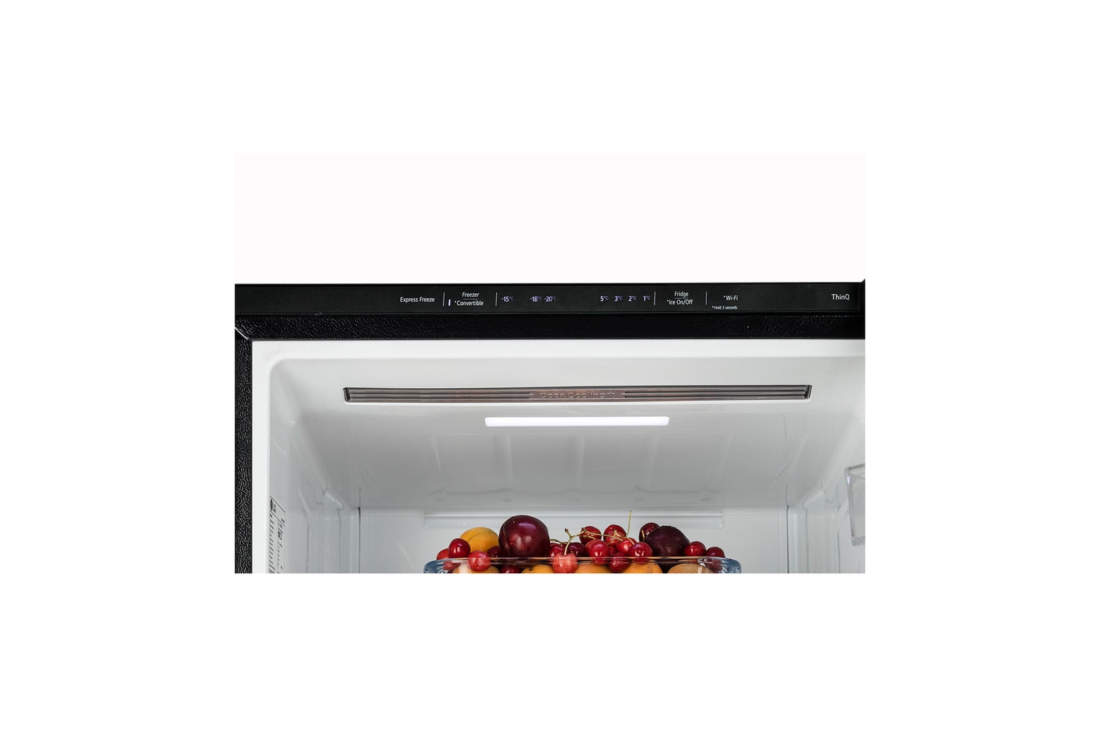 freezer view