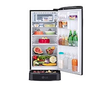 LG 185L, 3 Star, With Base Stand Drawer, Ebony Regal Finish, Direct Cool Single Door Refrigerator, GL-D201AELD