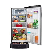 LG 185L, 3 Star, With Base Stand Drawer, Ebony Regal Finish, Direct Cool Single Door Refrigerator, GL-D201AERD