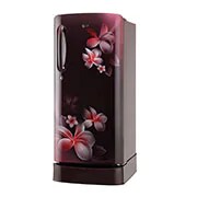 LG 190L Single Door Refrigerator with Anti Bacterial Gasket in Scarlet Plumeria Color, GL-D201ASPD