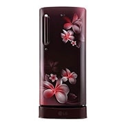 LG 185L, Single Door Refrigerator with Smart Inverter Compressor, Fast Ice Making, GL-D201ASPY