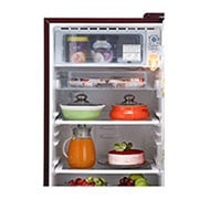 LG 185L, Single Door Refrigerator with Smart Inverter Compressor, Fast Ice Making, GL-D201ASPY