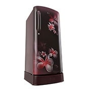 LG 185L, Single Door Refrigerator with Smart Inverter Compressor, Fast Ice Making, GL-D201ASPY