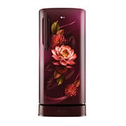 LG GL-D211HRWZ single door refrigerator front view