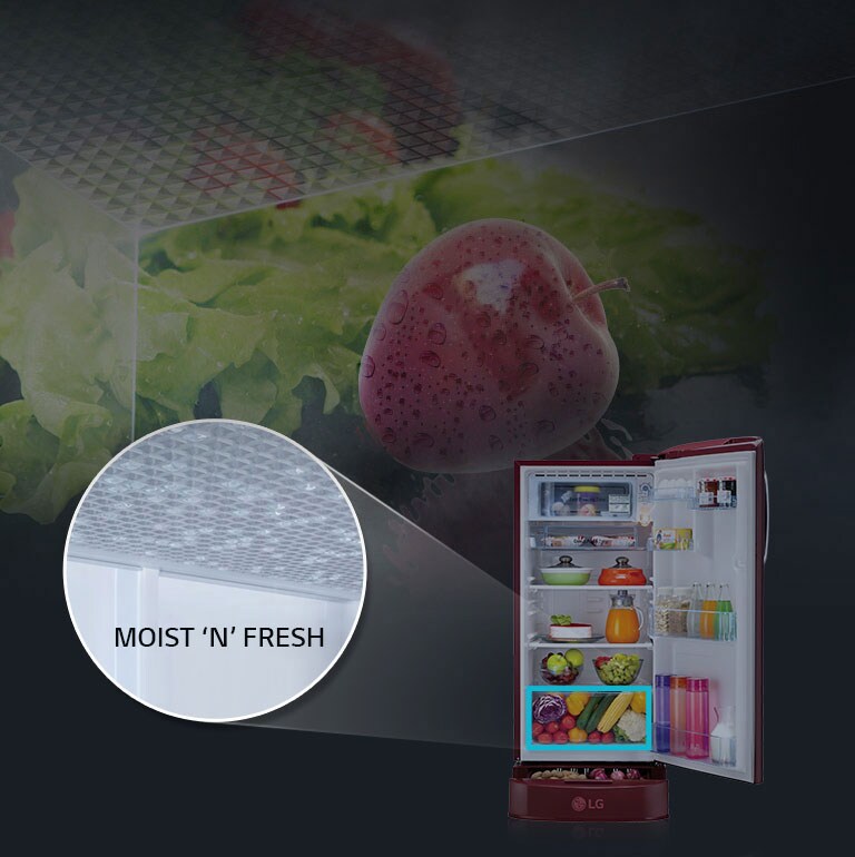 LG GL-D221APZY Moist and Fresh