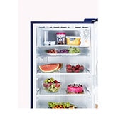 Top freezer