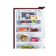 detailed view with food stored